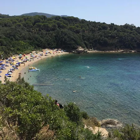 Nettuno شقة *